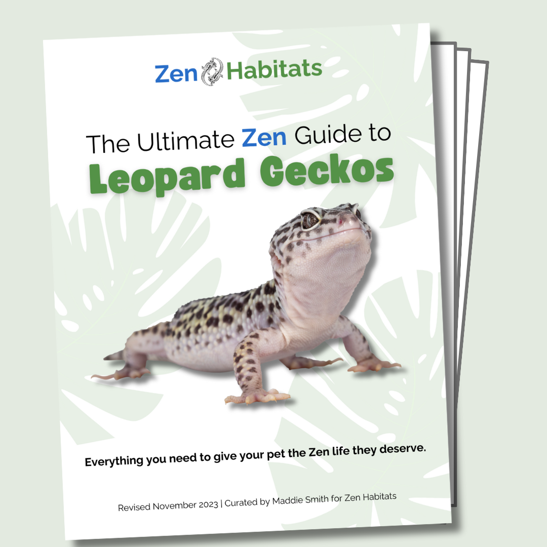 The Ultimate Zen Guide to Leopard Geckos - Revised August 2024