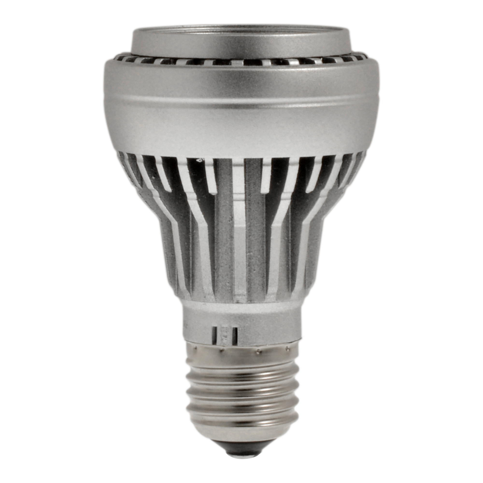 New Dawn LED 6500K Spot
