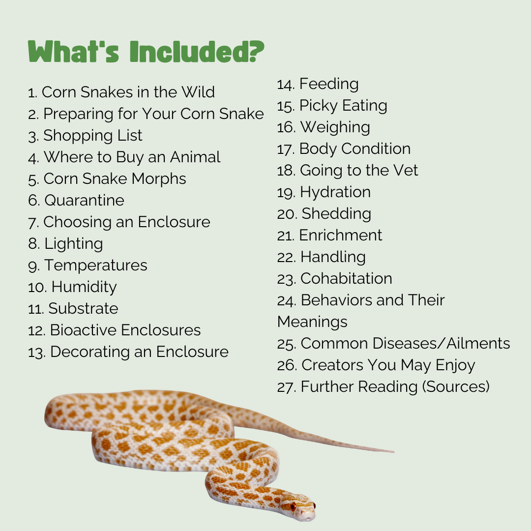 The Ultimate Zen Guide to Corn Snakes - Revised August 2024