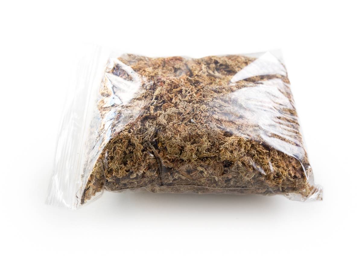 Josh's Frogs Chilean Sphagnum Moss (100 g bag)