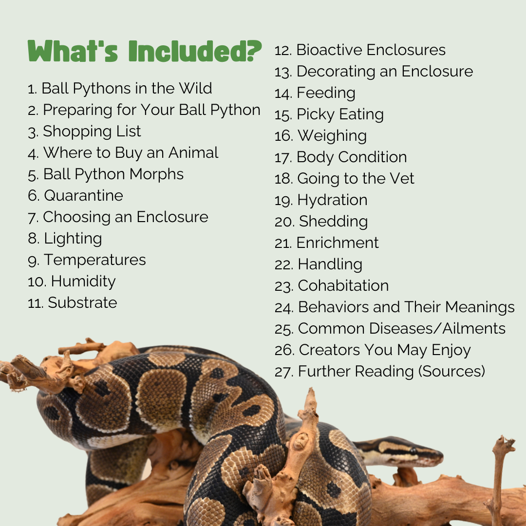 The Ultimate Zen Guide to Ball Pythons - Revised August 2024