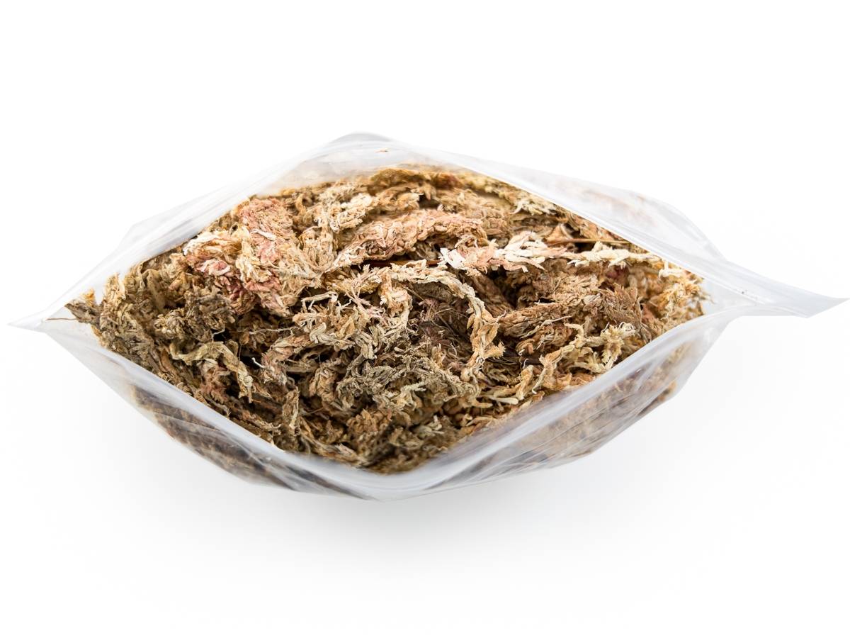 Josh's Frogs Chilean Sphagnum Moss (100 g bag)