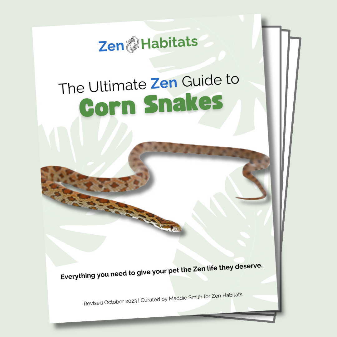 The Ultimate Zen Guide to Corn Snakes - Revised August 2024