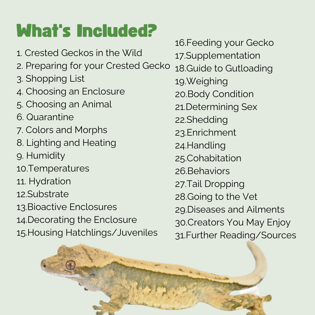 The Ultimate Zen Guide to Crested Geckos - Revised August 2024